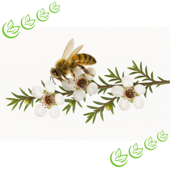 Manuka Honig MGO 721+ BIO 250 g